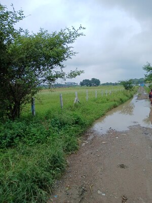 Plot Area in  Land at Sinhasa – for Rent