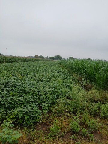 Plot Area in  Land at Sinhasa – for Rent