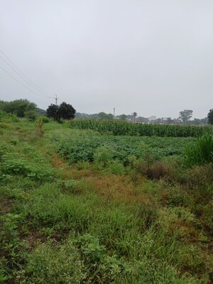 Plot Area in  Land at Sinhasa – for Rent