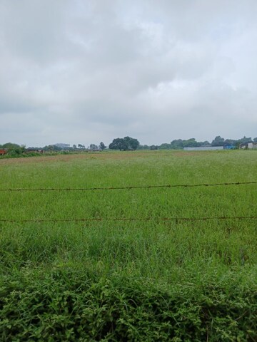  Land For Sale in Sinhasa