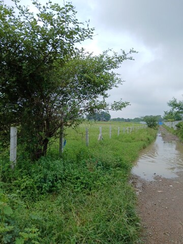 Plot Area in  Land at Sinhasa – for Sale