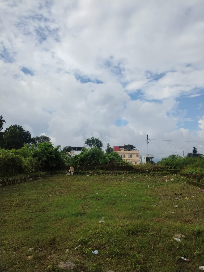 Plot For Sale in Pondha