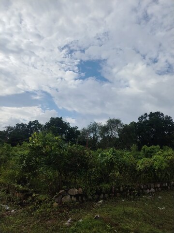 Plot Area in  Land at Pondha – for Sale