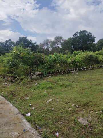 Plot Area in  Land at Pondha – for Sale