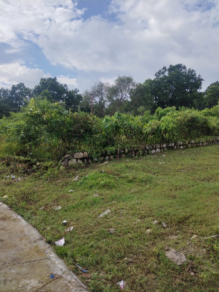 undefined, pondha Commercial Land 2200 Sq.Ft. In Pondha Dehradun 9125015