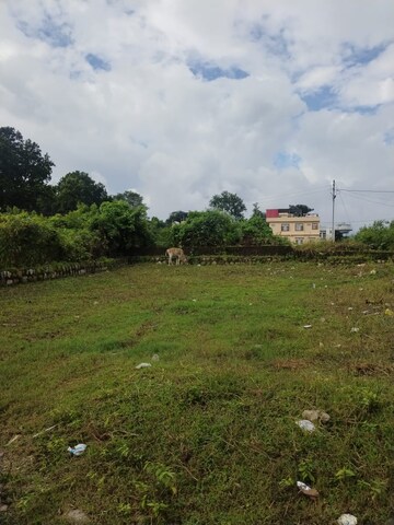  Land For Sale in Pondha