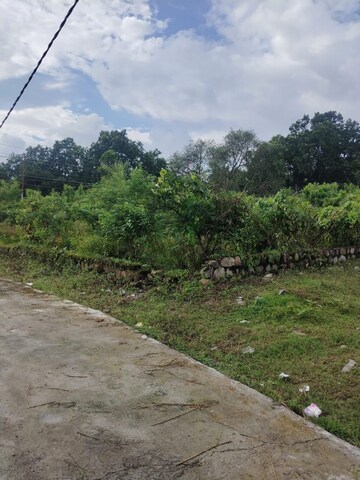 Plot Area in  Land at Pondha – for Sale