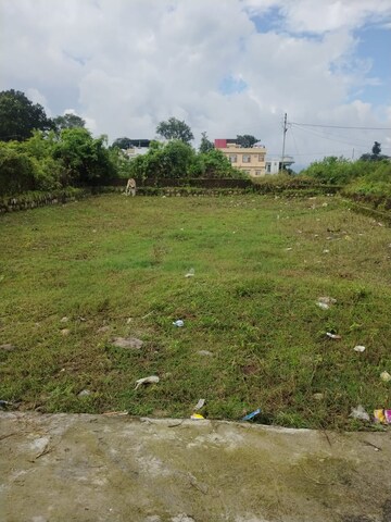 Plot Area in  Land at Pondha – for Sale