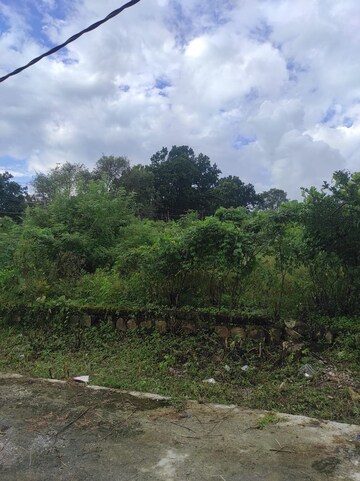 Plot Area in  Land at Pondha – for Sale