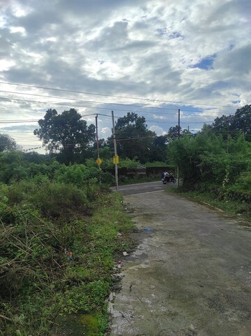 Plot Area in  Land at Pondha – for Sale