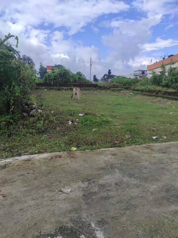 Plot Area in  Land at Pondha – for Sale