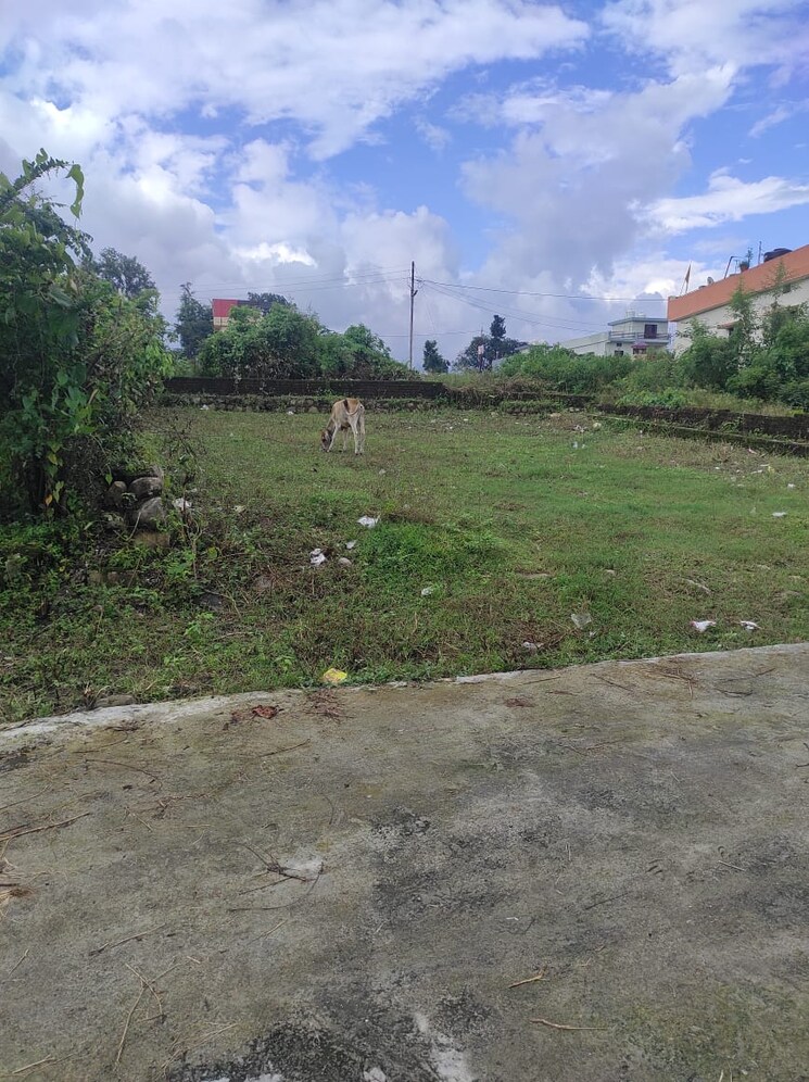 undefined, pondha Commercial Land 2200 Sq.Ft. In Pondha Dehradun 9125015