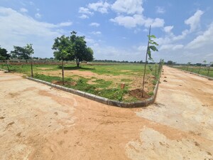 Plot Area in  Plot at Nature City Yacharam, Yacharam – for Sale