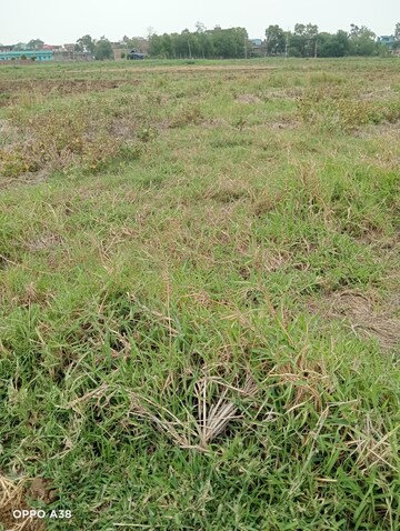 Plot Area in  Plot at Shivala Par – for Sale