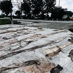 6460 Sq.Ft. Plot in Mahalaxmi NagaR-41 Shivma