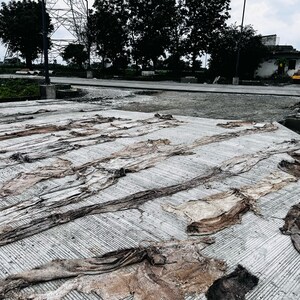  Plot – Exterior View View at Shivmadka - for Sale