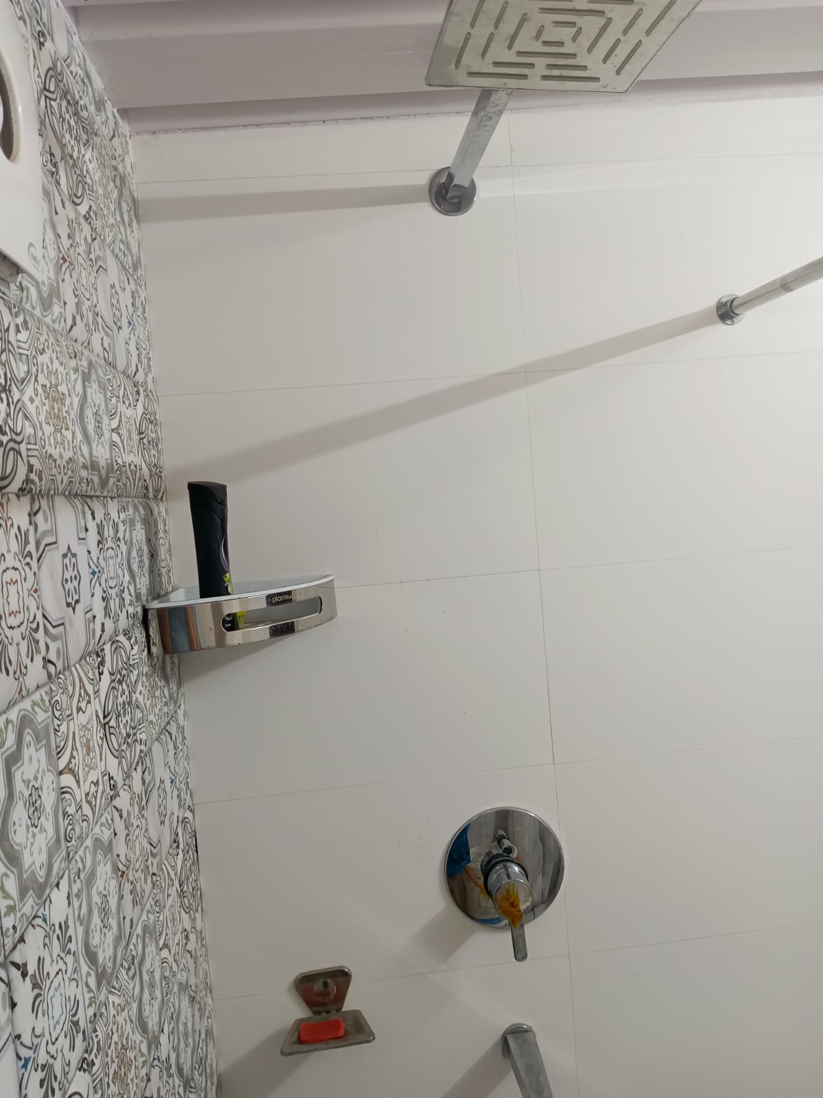 2 BHK Apartment For Rent in Gaur City-2