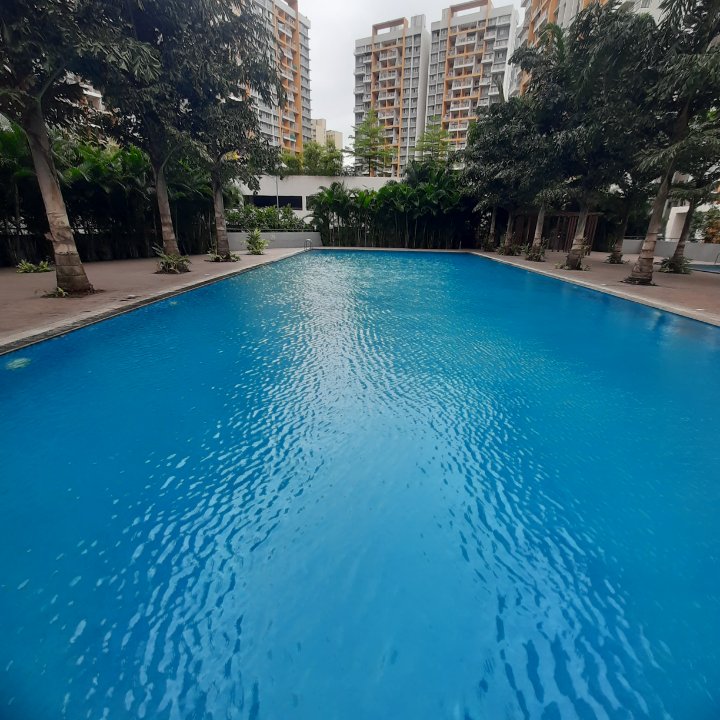 Swimming Pool in 2 BHK Apartment at Kolte Patil Life Republic, Hinjewadi – for Rent