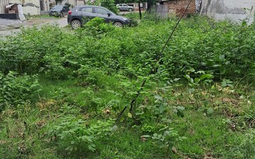 Plot For Sale in Sector 80