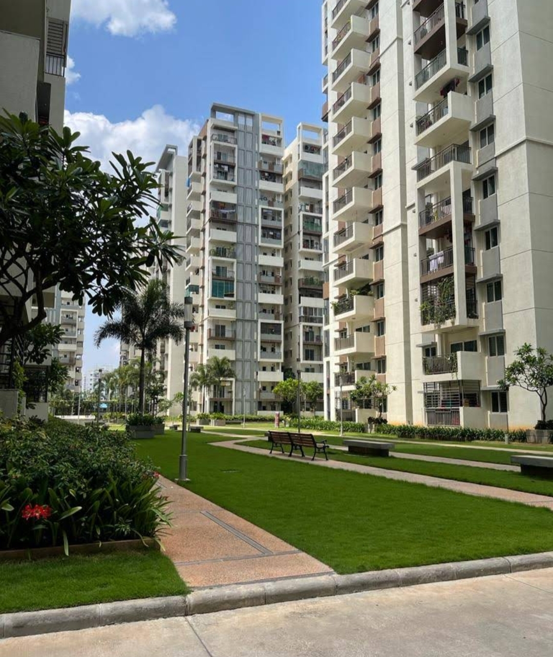 2 BHK Apartment For Rent in Aparna Sarovar Zenith