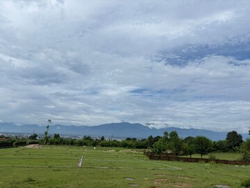  Plot For Sale in Sherpur