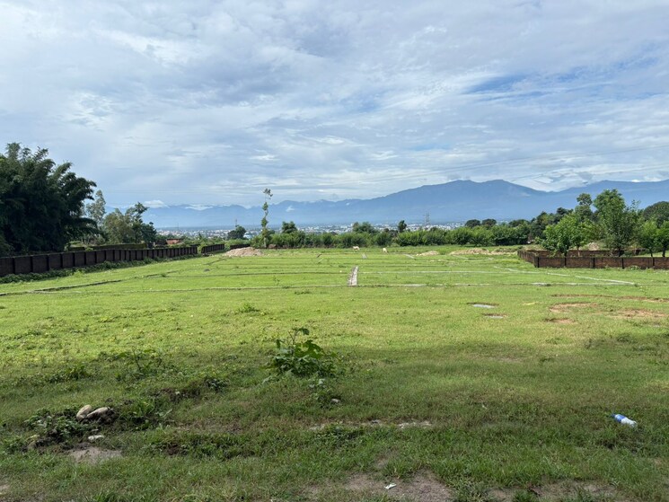 undefined, sherpur  340 Sq.Yd. Plot In Sherpur Dehradun 9126046