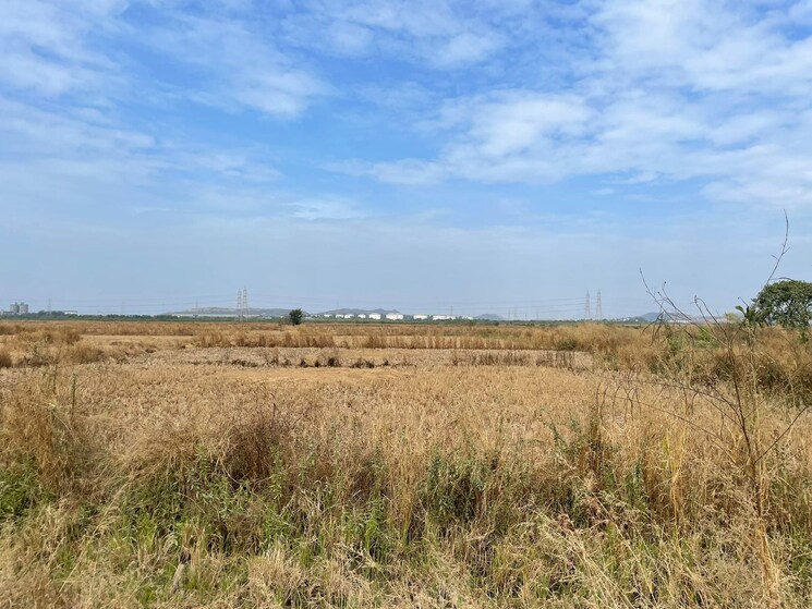 undefined, chirle  1089 Sq.Ft. Plot In Chirle Navi Mumbai 9126092