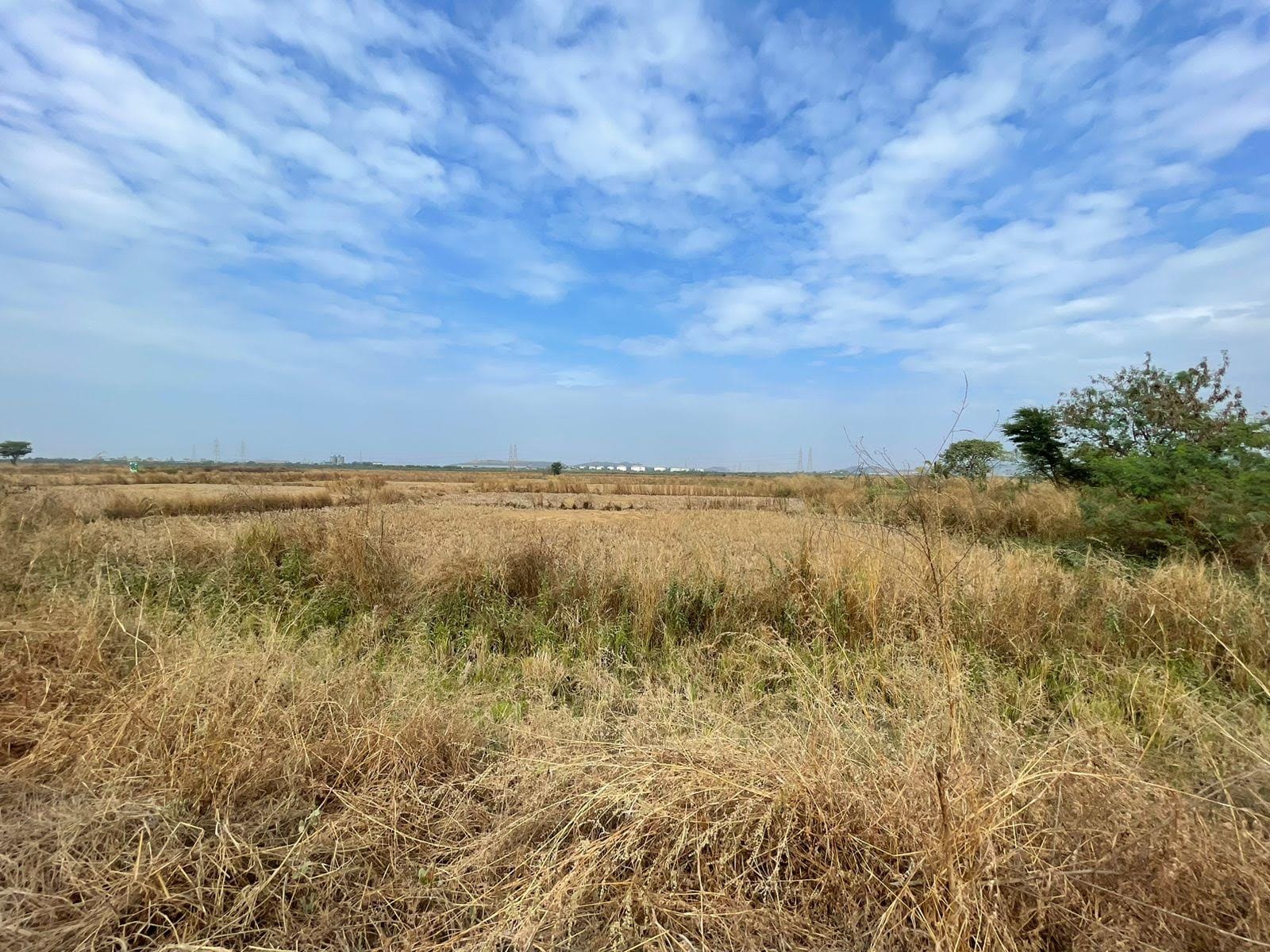 Plot For Sale in Chirle