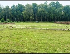 Plot For Sale in Shimla Bypass Road