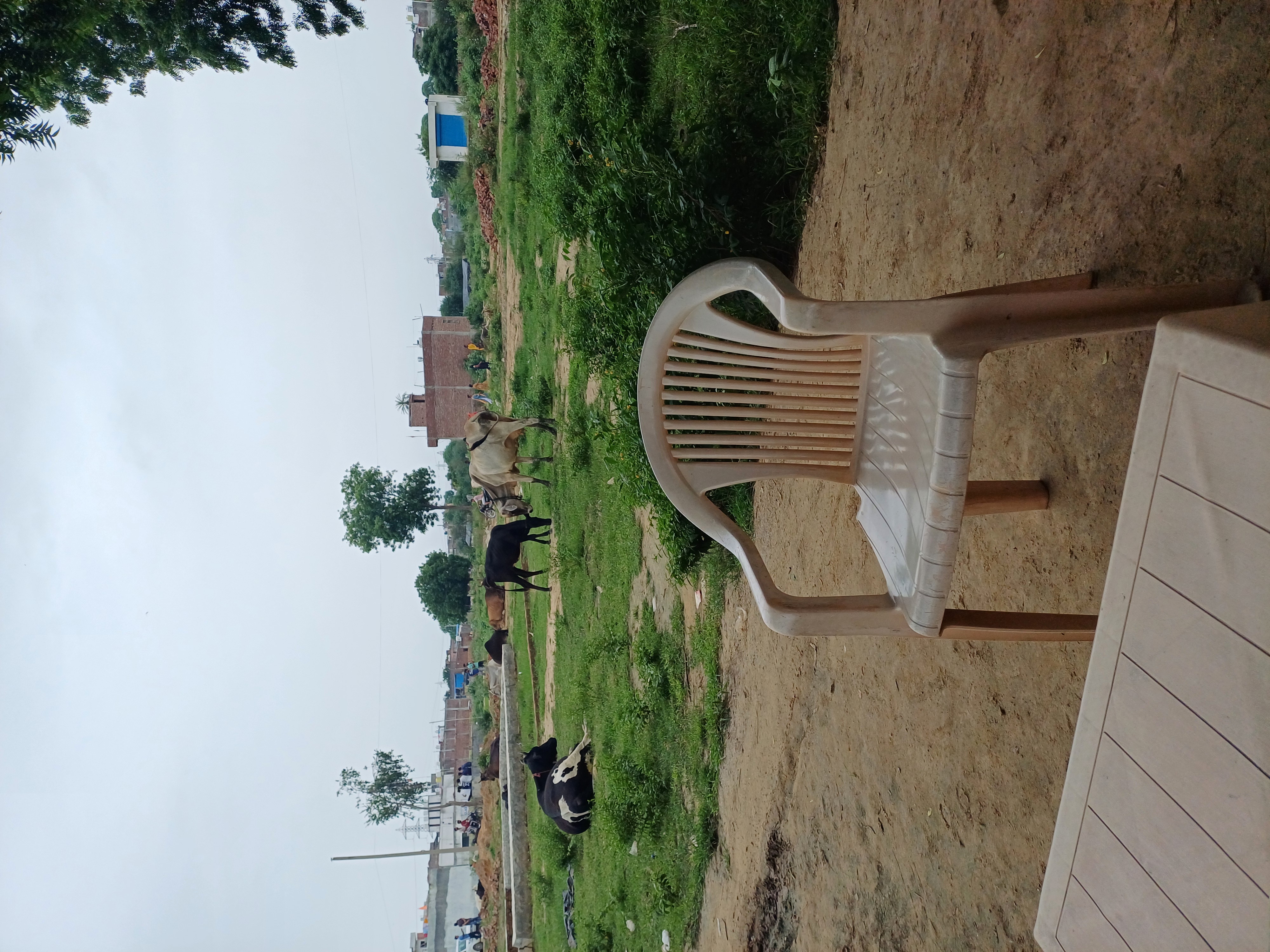 Plot For Sale in Om Associates 