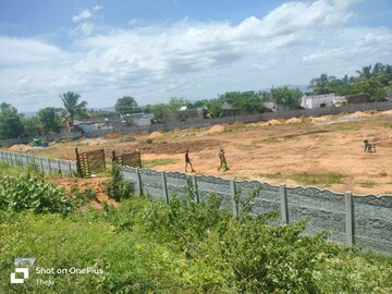 Plot Area in  Land at Vadamalapeta – for Sale