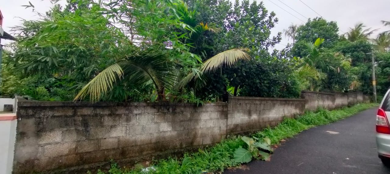 Plot For Sale in Mukkattukara