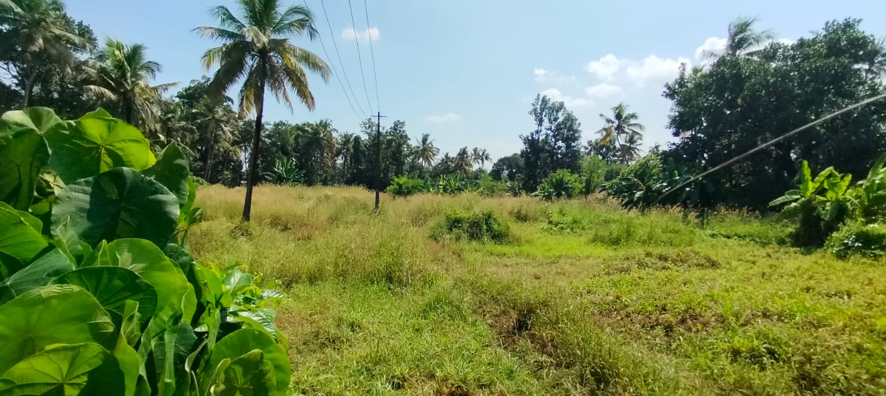Land For Sale in Viyyoor
