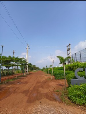 Plot Area in  Plot at Kumhari – for Sale