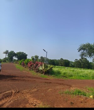  Plot For Sale in Patan Kumhari Road