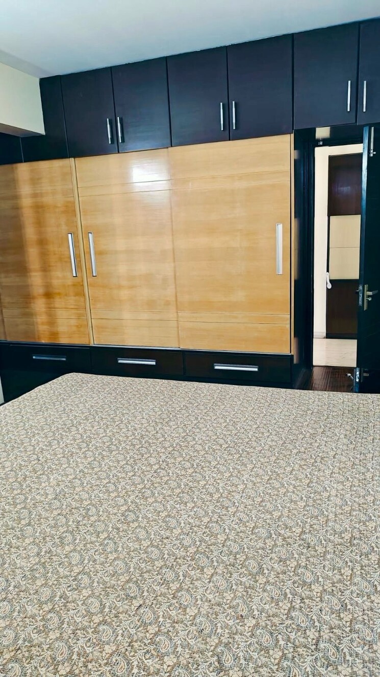 undefined, dlf-windsor-court 4 Bedroom 2985 Sq.Ft. Apartment In Dlf Phase iv Gurgaon 9126706