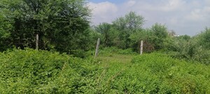 Plot Area in  Plot at Ansal Sushant Golf city, Sushant Golf City – for Sale