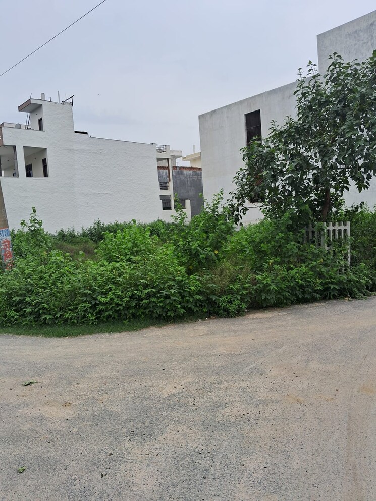 Listing Cover Image