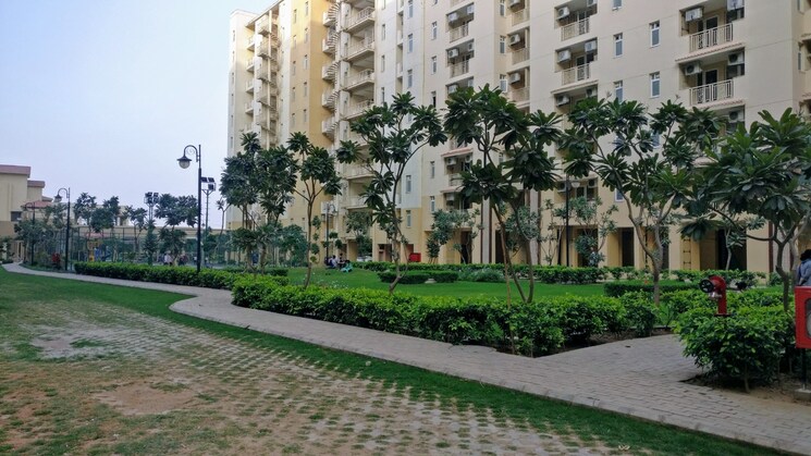 Exterior View, emaar-palm-hills 4 Bedroom 1950 Sq.Ft. Apartment In Sector 77 Gurgaon 9126762