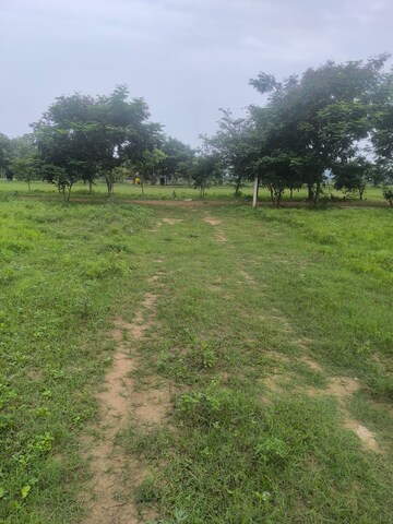 Plot Area in  Plot at Chippada – for Sale