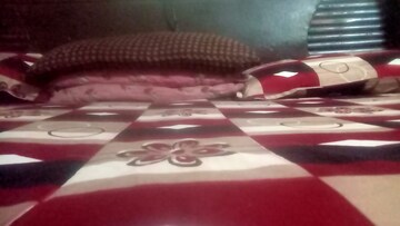 Furnished Amenities in 3 BHK Independent House at Sector 41 – for Rent