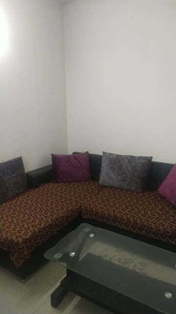 Living Room in 2 BHK Apartment at Tulip Lemon, Sector 69 – for Rent