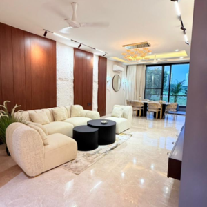 Living Room in 4 BHK Builder Floor at Ireo The Grand Hyatt Residences, Sector 58 – for Sale