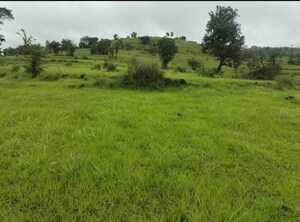  Plot For Sale in Kalewadi