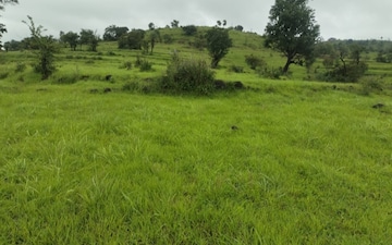 Plot For Sale in Kalewadi
