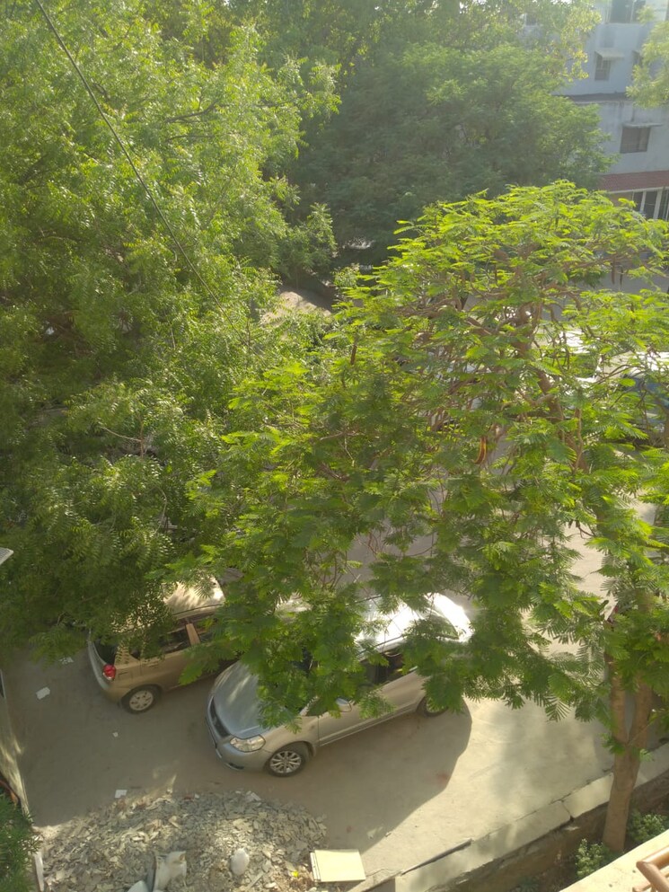 Garden, vasant kunj 3 Bedroom 1500 Sq.Ft. Apartment In Vasant Kunj Delhi 9127117