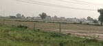 100 Sq.Yd. Plot in Basai Industrial Area