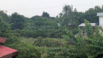  Plot – Garden View at Sector 135 - for Sale