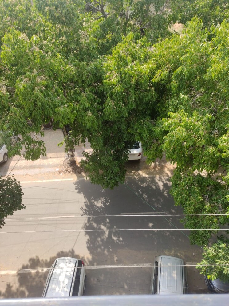 Garden, ansal-sushant-lok-i 1 Bedroom 650 Sq.Ft. Apartment In Sector 43 Gurgaon 9127156