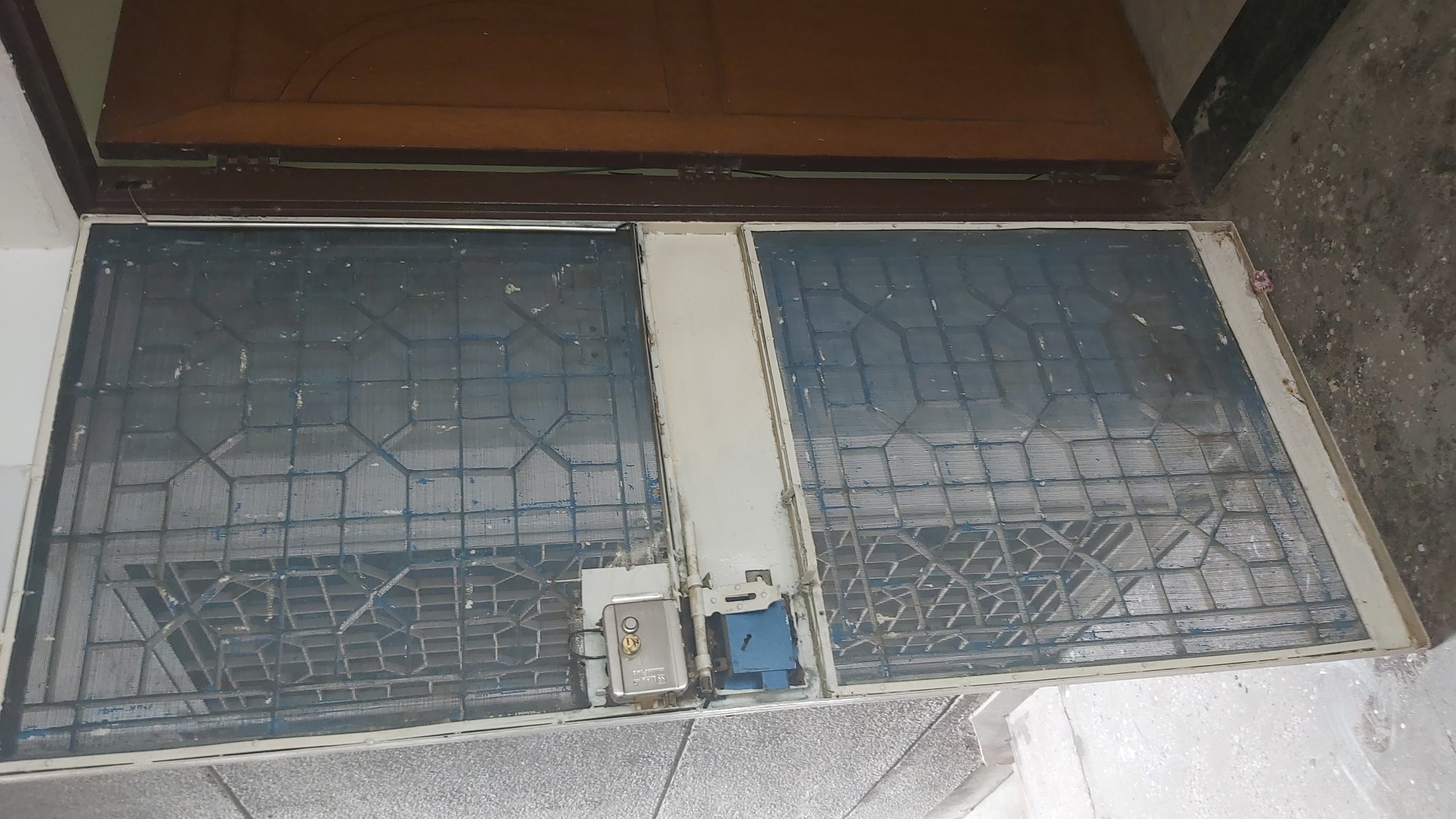 2.5 BHK + Study Room Builder Floor For Rent in Matri Apartment Mayur Vih